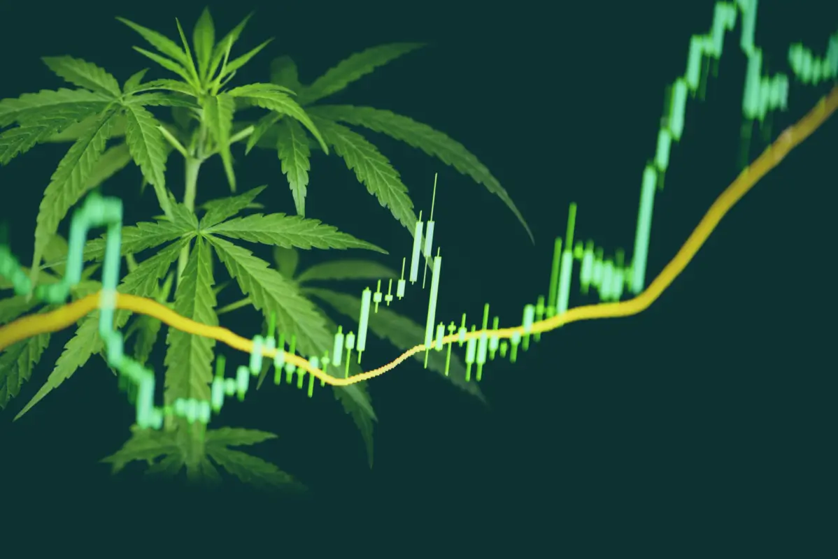 Best cannabis stocks to watch
