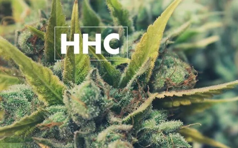 What is hhc weed