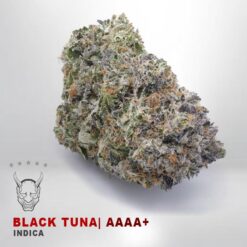 Black Tuna – AAAA+