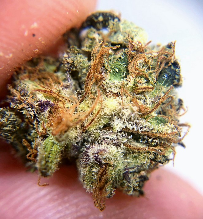 Bubblegum weed 3 - Bubblegum Cannabis Strain Review