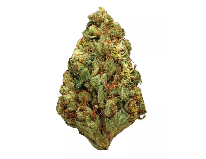 Buddha Tahoe 2 - Buddha Tahoe Marijuana Strain Review