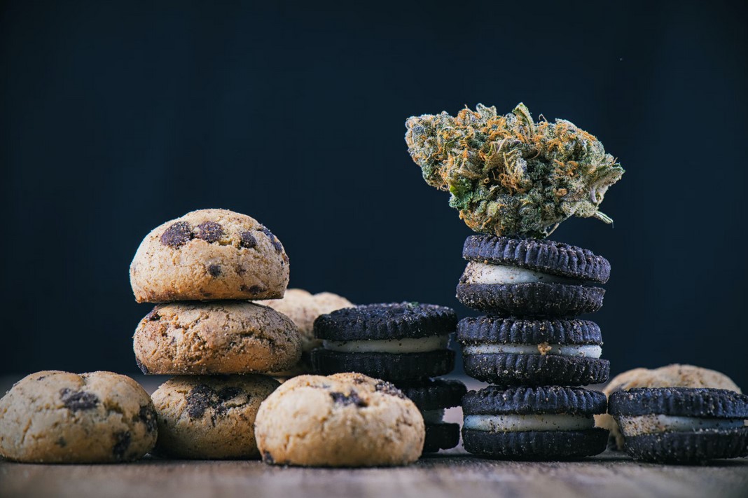 Cannabis Cookie - Top 5 Cannabis Cookie Recipes