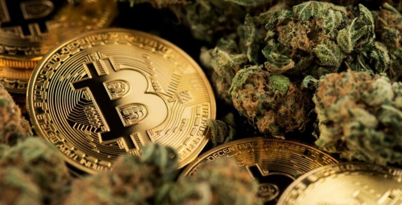 Cryptocurrency and weed 2 782x400 - Cryptocurrency and Weed: What Is Weed Cryptocurrency?