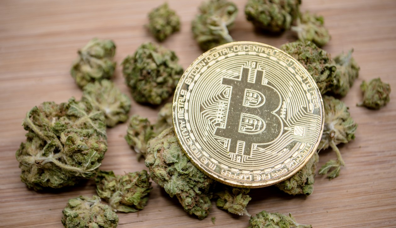 Cryptocurrency and weed 3 - Cryptocurrency and Weed: What Is Weed Cryptocurrency?