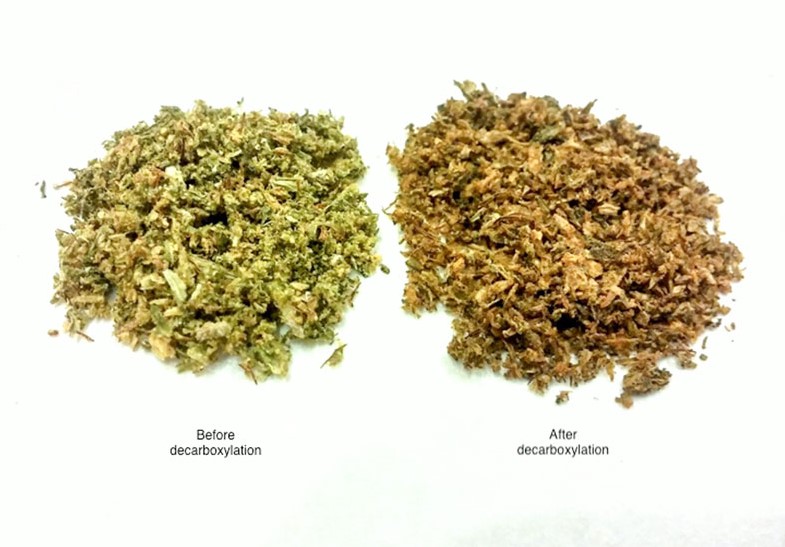 Decarboxylation - Decarboxylation