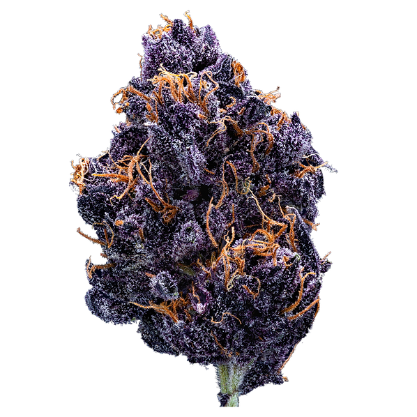 Gans Cannabis Paris OG - What happened to Dolly&rsquo;s Cannabis? - UberweedShop Comparison