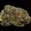 Death Shark LSO-Indica