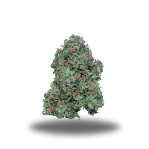 Gas Mask – Indica