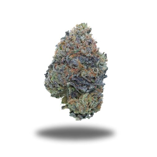 Incredible Pink LSO – Indica