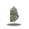 Ghost Fire Pink – Indica