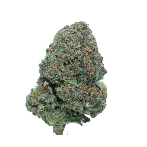 Pink Asteroids – Indica