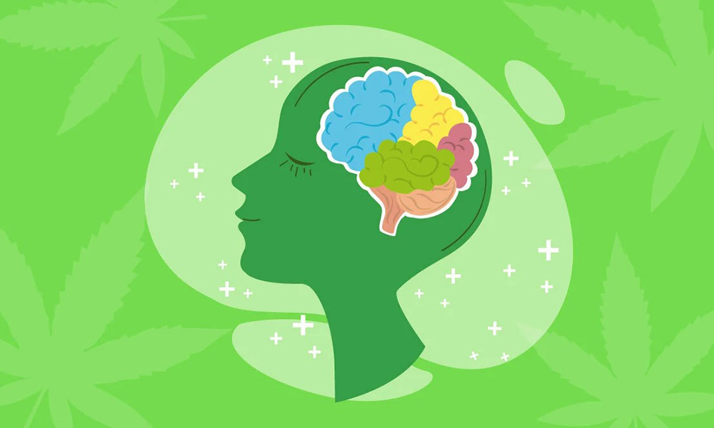 Marijuana Strains for ADHD - Medical Marijuana for ADHD