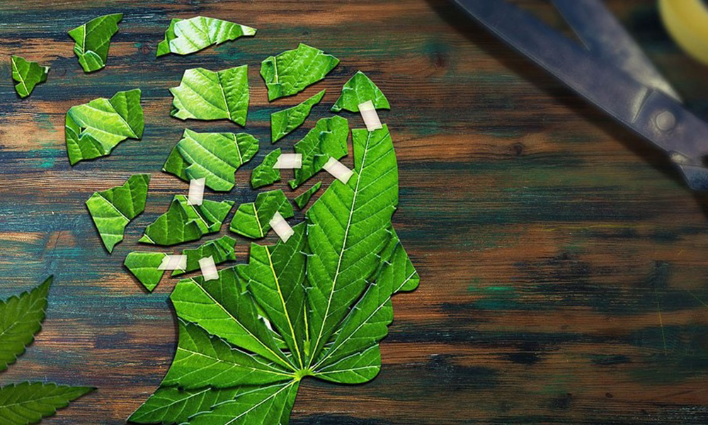 Marijuana for Alzheimer Disease - Best Marijuana Strains That Help Treat Alzheimer’s Disease