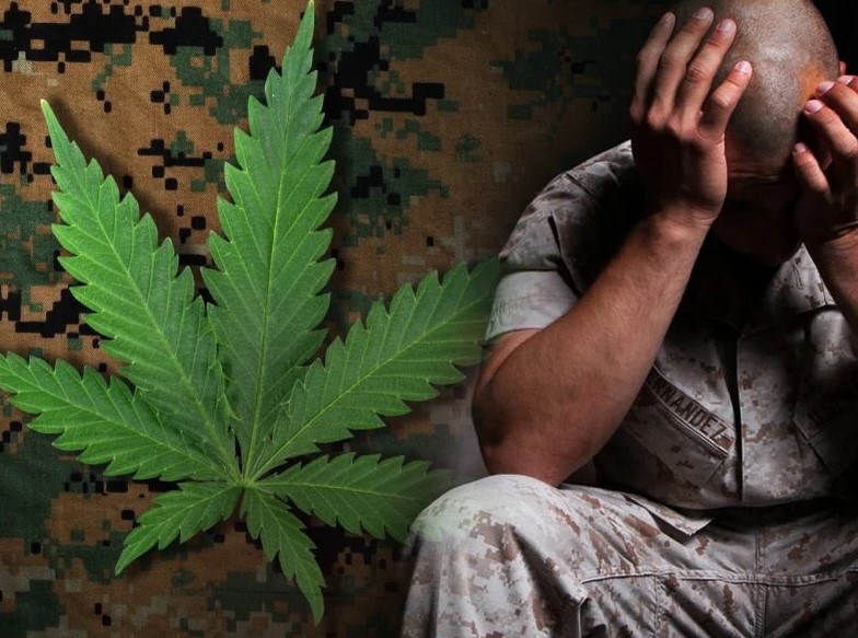 Medical Marijuana Strains for PTSD 3 - Medical Marijuana Strains for PTSD