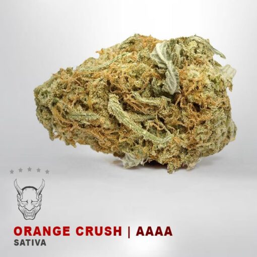 Orange Crush – AAAA