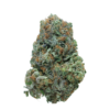 Gas Mask – Indica