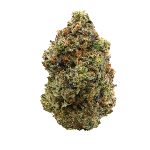 Ghost Fire Pink – Indica