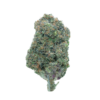 Pink Inferno – Indica