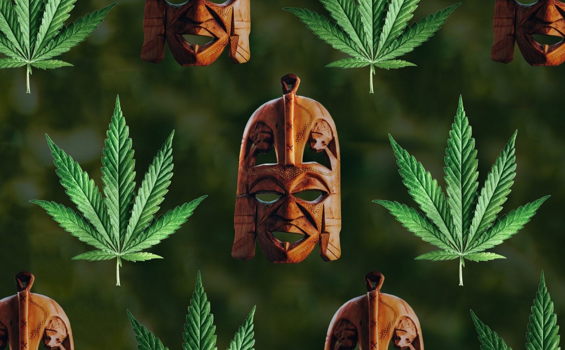 african weed cannabis in africa 11 - The History of African Weed