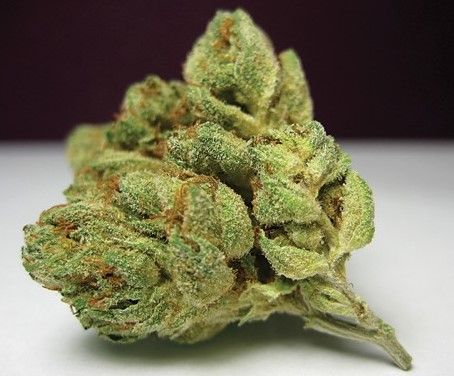 best cannabis strains with euphoric effects 3 - Best Cannabis Strains with Euphoric Effects