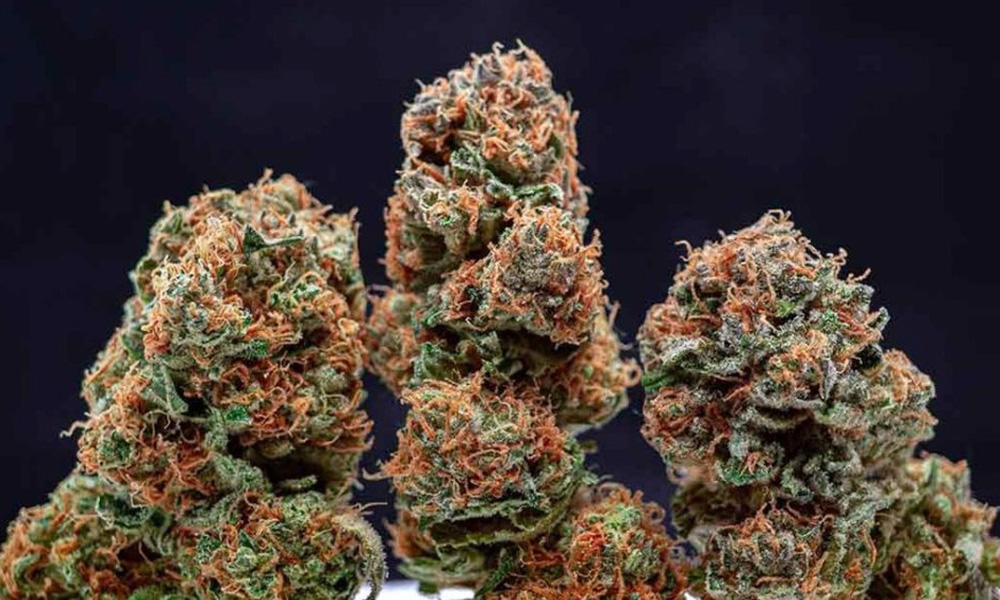 best indica strains - Best Indica Marijuana Strains