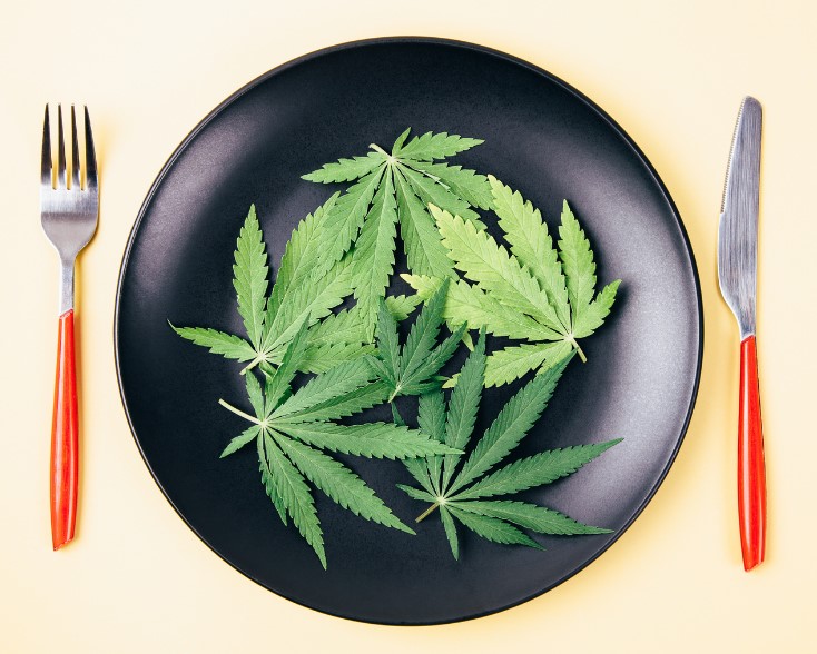 best marijuana strains to make edibles 2 - Best Marijuana Strains to Make Edibles