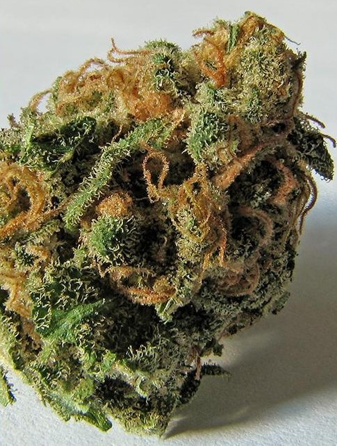 best sativa 3 - Best Sativa Weed Strains of All Time