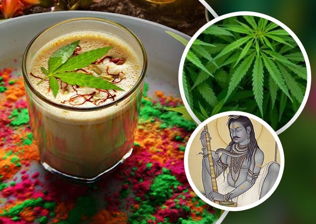 bhang definition and meaning 5 - Bhang Definition and Meaning