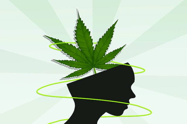 cannabis and anxiety - Cannabis And Anxiety