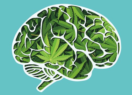 cannabis effects how does cannabis use affect brain health 3 - Cannabis Effects: How Does Cannabis Use Affect Brain Health?