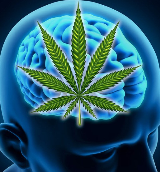 cannabis for Mental Wellness 3 - Medical Marijuana for Mental Wellness