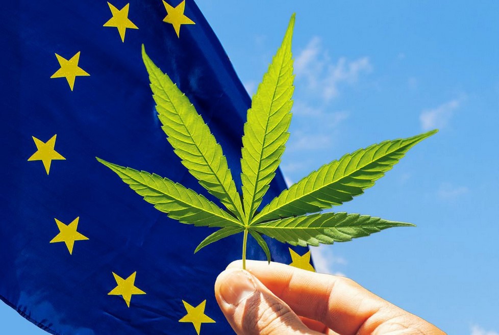 cannabis in europe 33 - Cannabis in Europe: 2022 Update