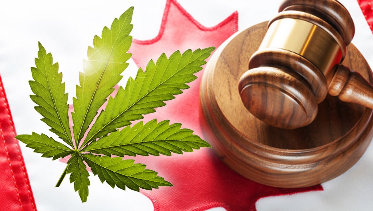 cannabis legalization in canada - Cannabis Legalization in Canada