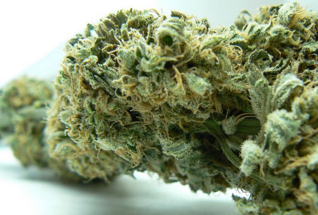 cannabis potency what are the strongest weed strains - Cannabis Potency: What Are The Strongest Weed Strains?