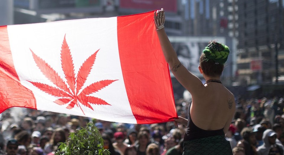 cannabis prohibition in canada 2 - Cannabis Prohibition in Canada