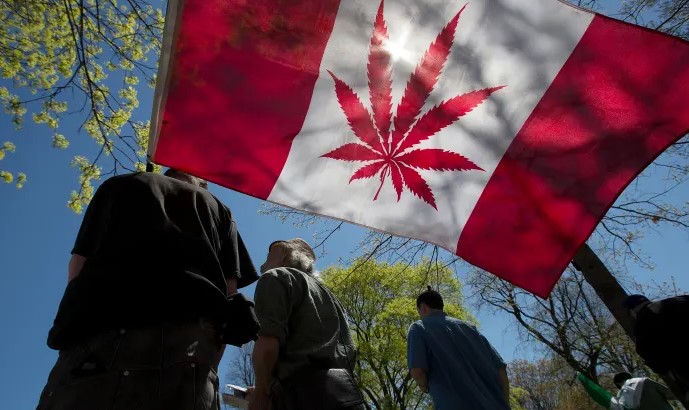 cannabis prohibition in canada - Cannabis Prohibition in Canada