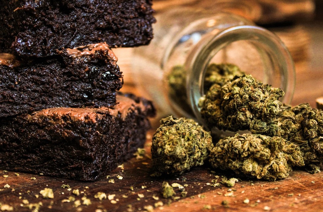 cannabis space cake 2 - Space Cake Recipe