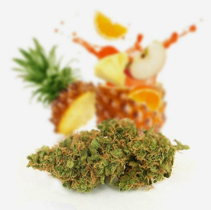 cannabis strains that have a tropical taste 3 - Best Marijuana Strains That Have a Tropical Taste