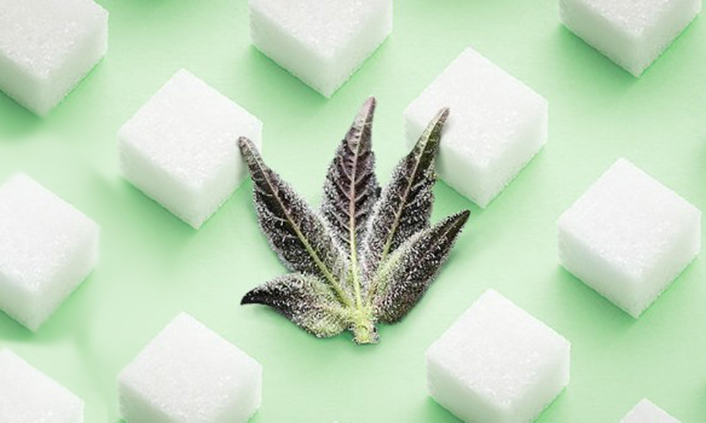 cannasugare 5 - How to Make Cannabis Sugar or Cannasugar