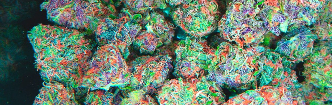 colourful weed bud colors guide 3 - Colourful Weed: Bud Colors Guide