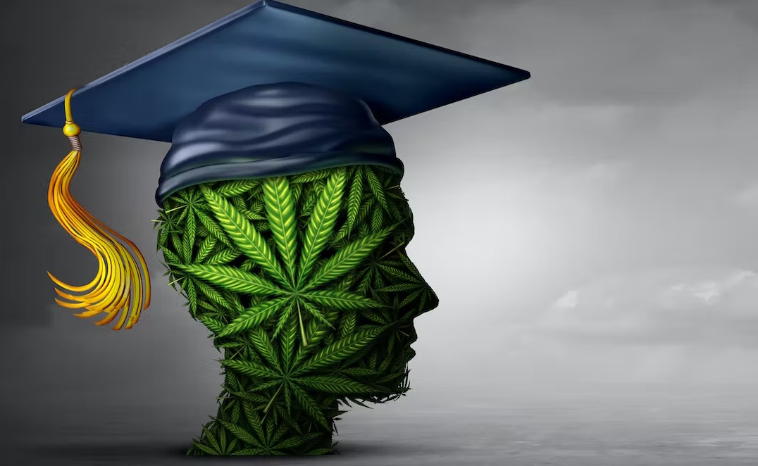 could cannabis help you study better 4 - Cannabis and Studies: Can Weed Help You Study?