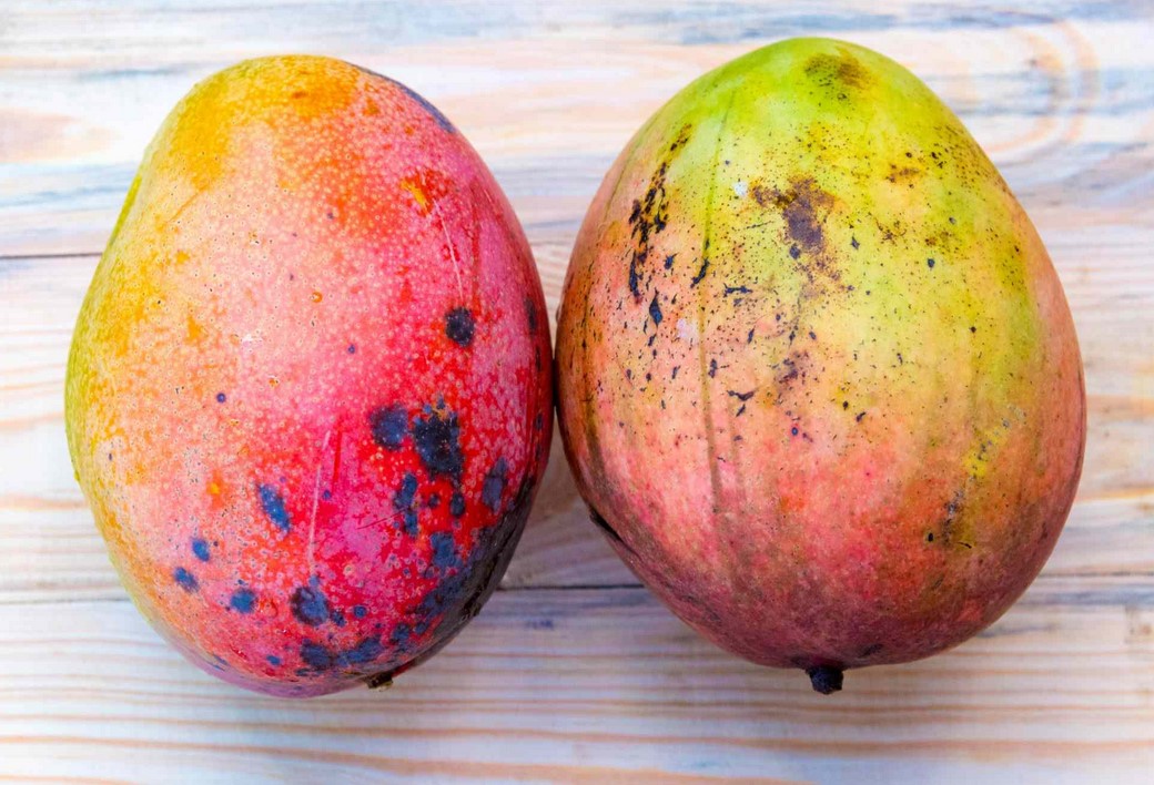 does eating mango get you higher 12 - Does Eating Mango Get You Higher?