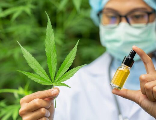 everything you need to know about cbd oil 9 519x400 - What is CBD Oil: A Beginner’s Guide