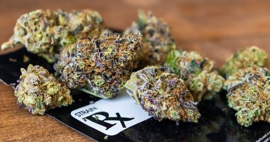 everything you need to know about purple weed 4 - What’s The Deal With Purple Weed?