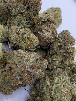 Greasy Pink Popcorn Smalls – Limited Special