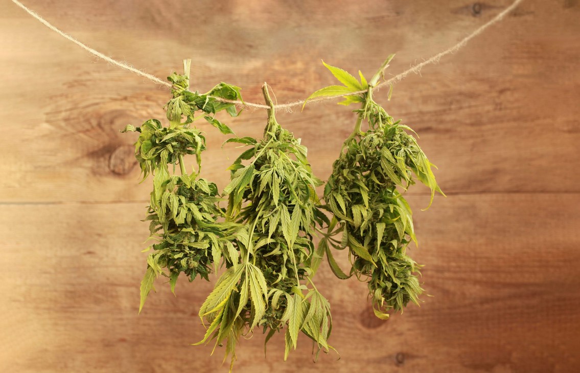 how to dry weed 4 - How to Dry Weed