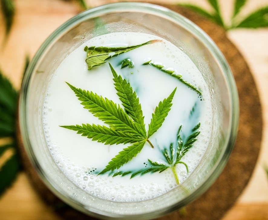 how to make cannabis milk - How to Make Cannabis Milk?