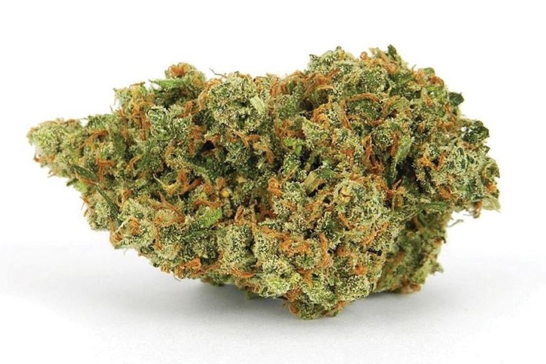 jack herer marijuana strain review - Jack Herer Cannabis Strain Review