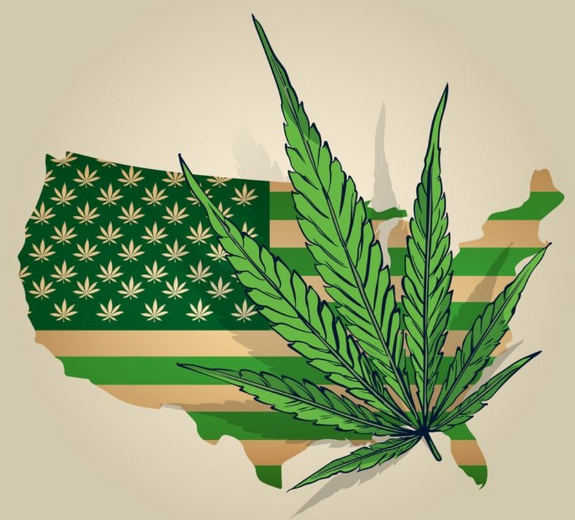 legalisation in usa 41 - Cannabis Legalisation in USA