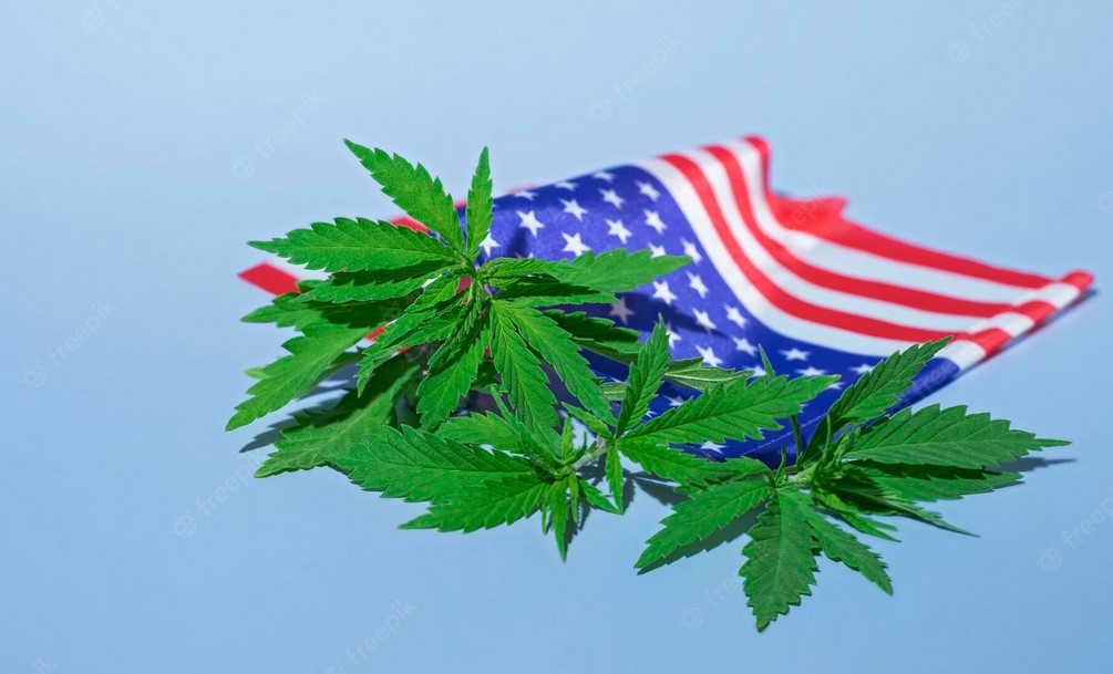 legalisation in usa 42 - Cannabis Legalisation in USA
